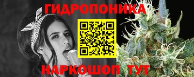 spice Янаул
