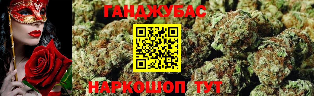 Бошки Шишки план Нижний Новгород